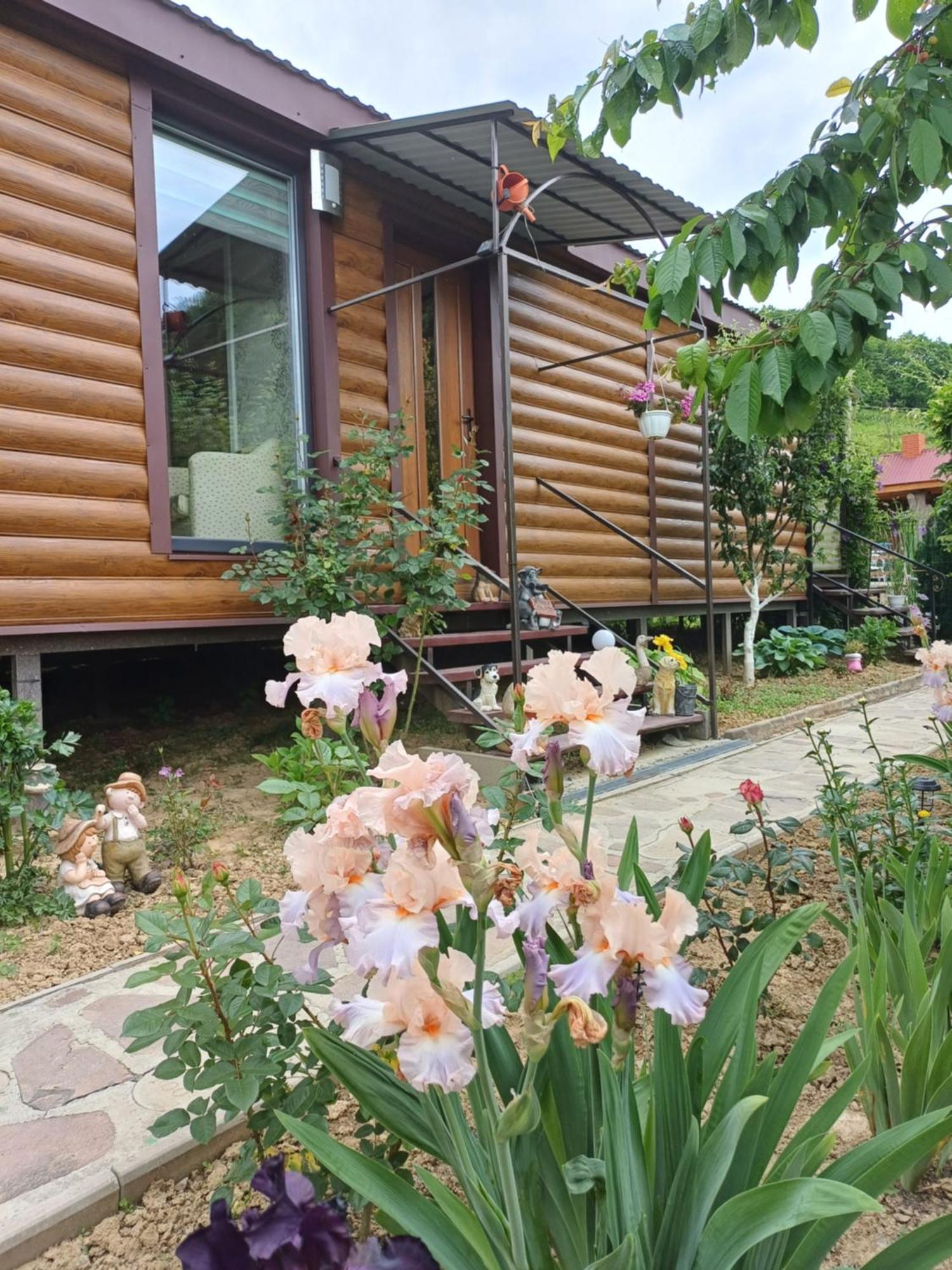 У Фёдера И Маргариты Nizhnya Hrabivnytsia 외부 사진